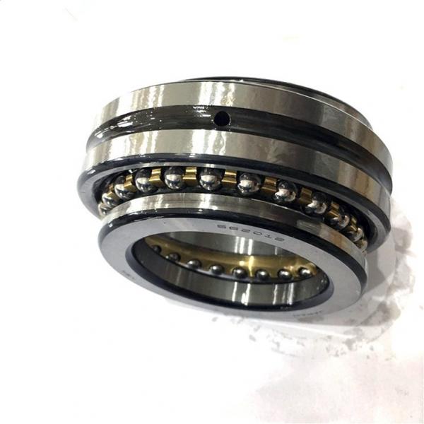 FAG NU306-E-M1-C3  Cylindrical Roller Bearings #1 image